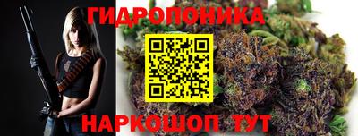 МДПВ Лесосибирск