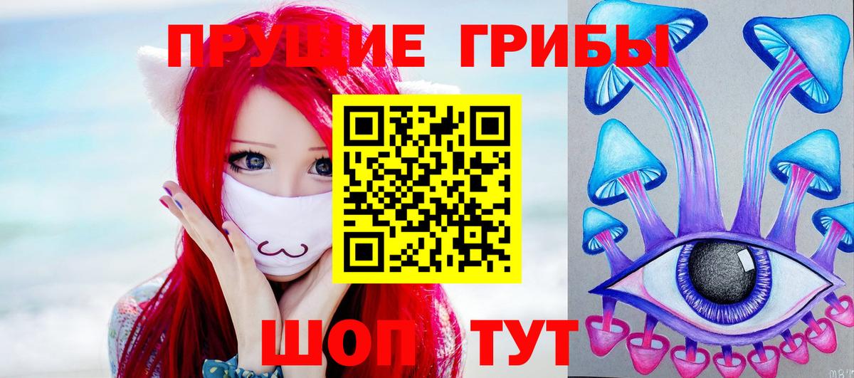 Псилоцибиновые грибы Psilocybe  Вход с VPN  Воскресенск 